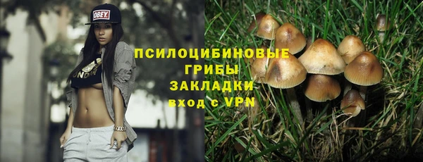 экстази Белокуриха